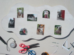 Cloud collage
