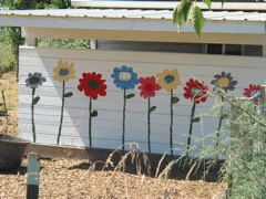 TLC flowers