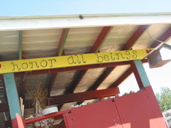 Honor all beings