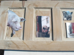 More door images