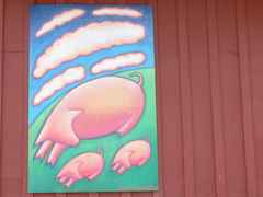 P1010647.JPG