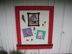 PICT0212.JPG