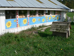P1010721.JPG