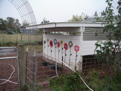 PICT0221.JPG