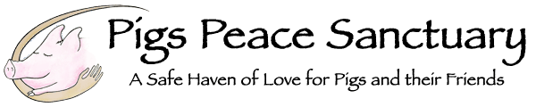 Pigs Peace logo